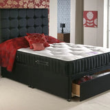 Premium Gold Orthopaedic Bed